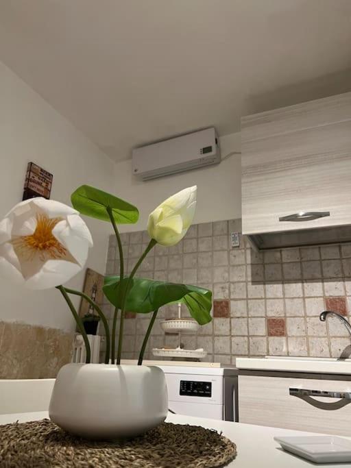 Casa Vacanze “Da Concetta” Bari Luaran gambar